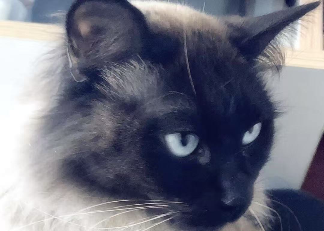profile